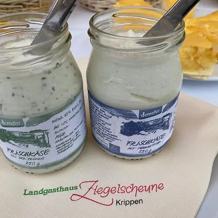 Kapitaenshaus * Bad Schandau