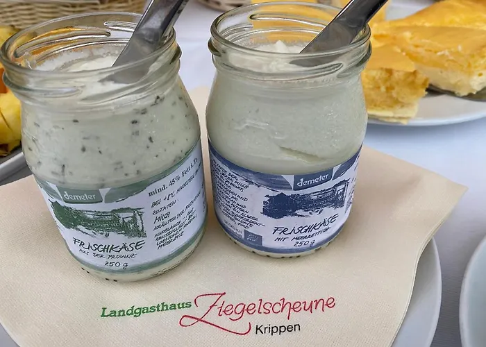 Kapitaenshaus * Bad Schandau